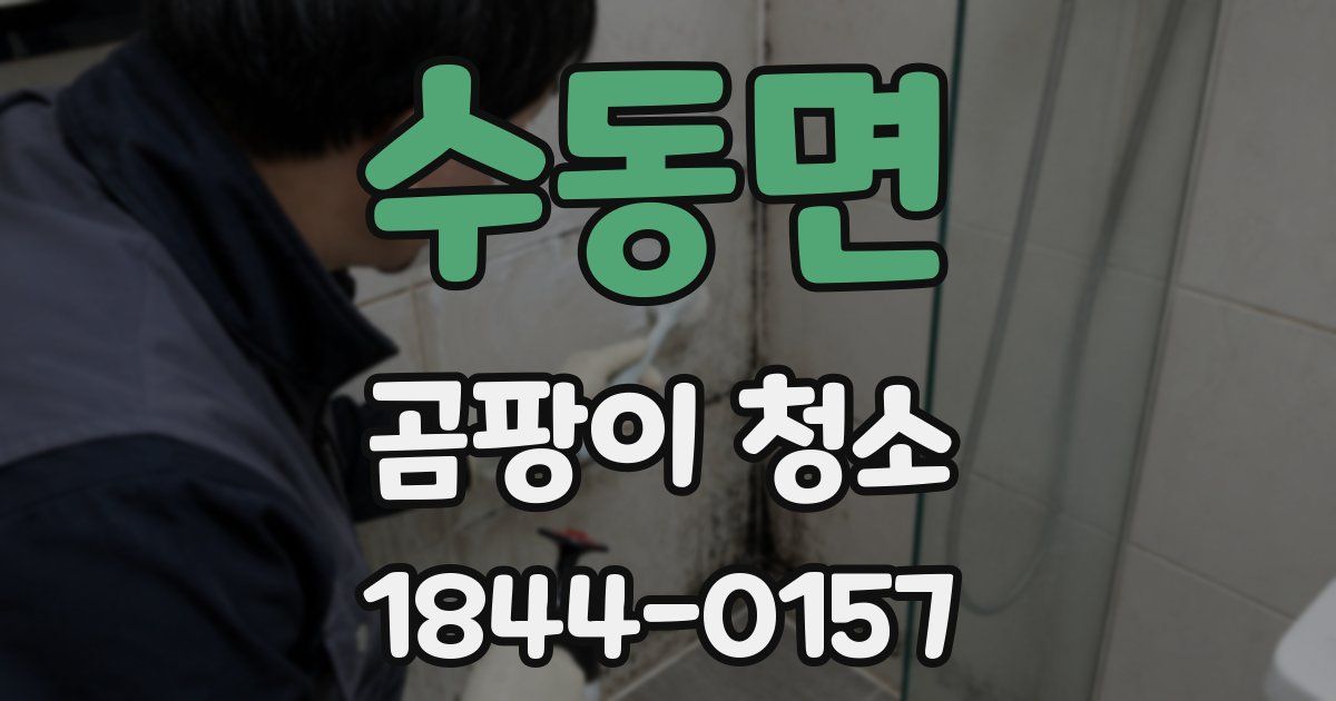 수동면 곰팡이 청소