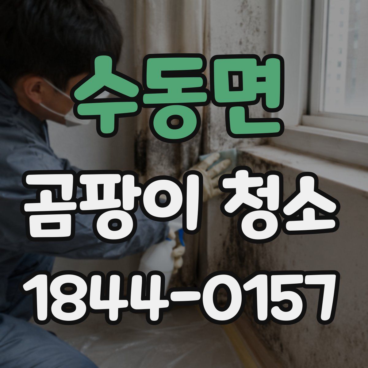 수동면 곰팡이 청소