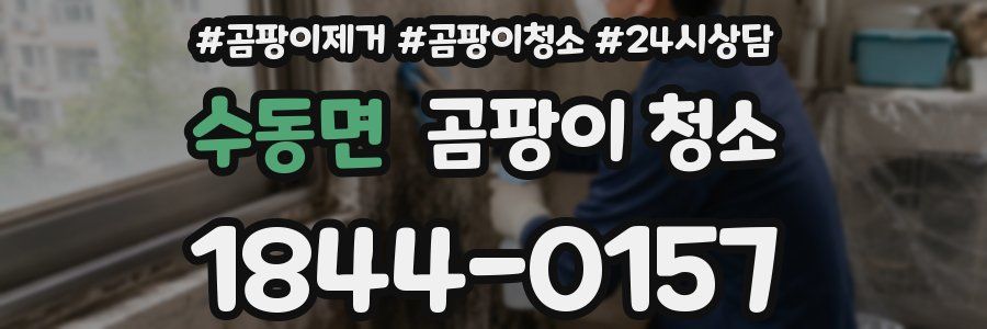 수동면 곰팡이 청소