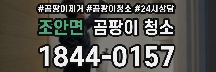 조안면 곰팡이 청소