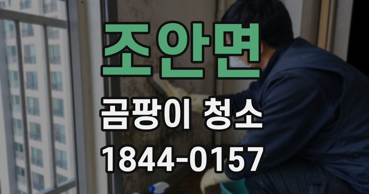 조안면 곰팡이 청소