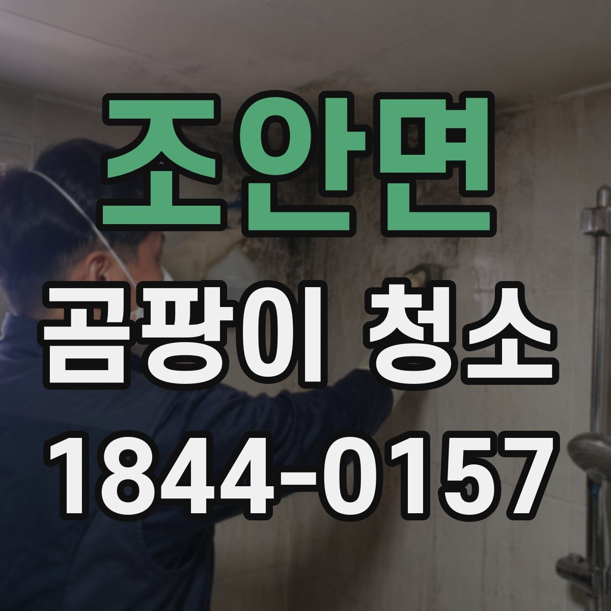 조안면 곰팡이 청소