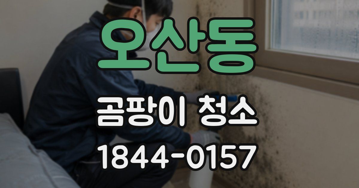 오산동 곰팡이 청소