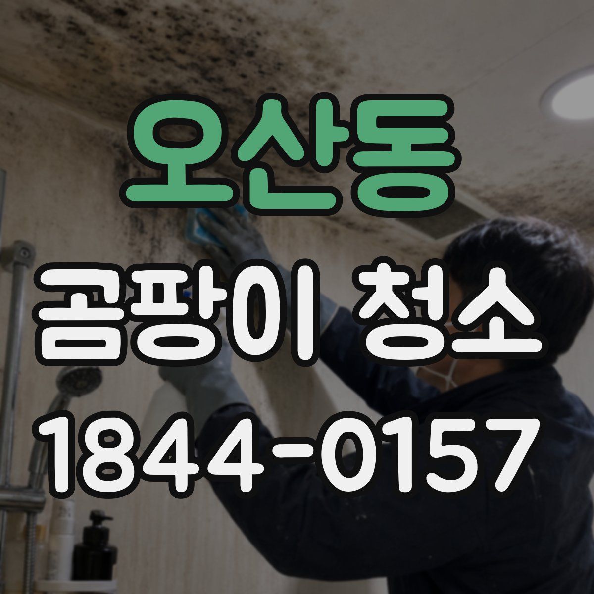 오산동 곰팡이 청소