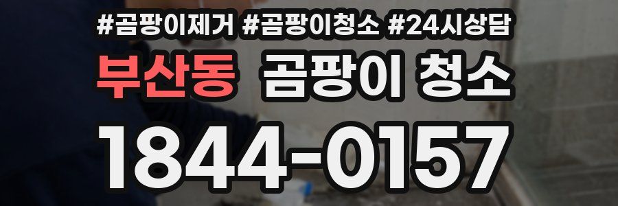 부산동 곰팡이 청소