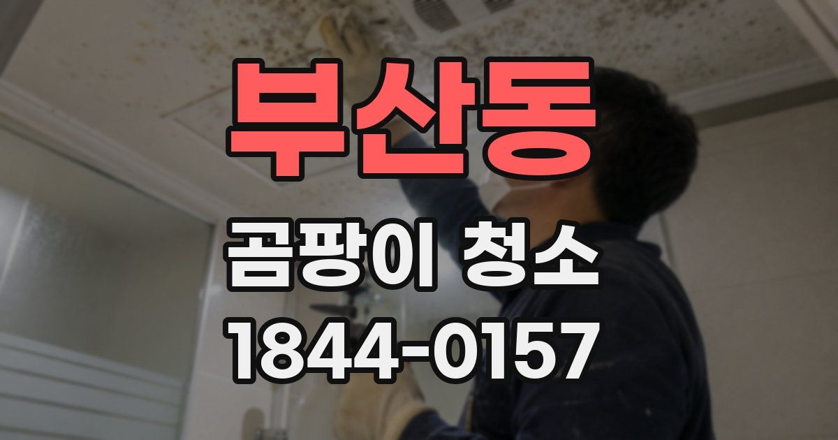 부산동 곰팡이 청소