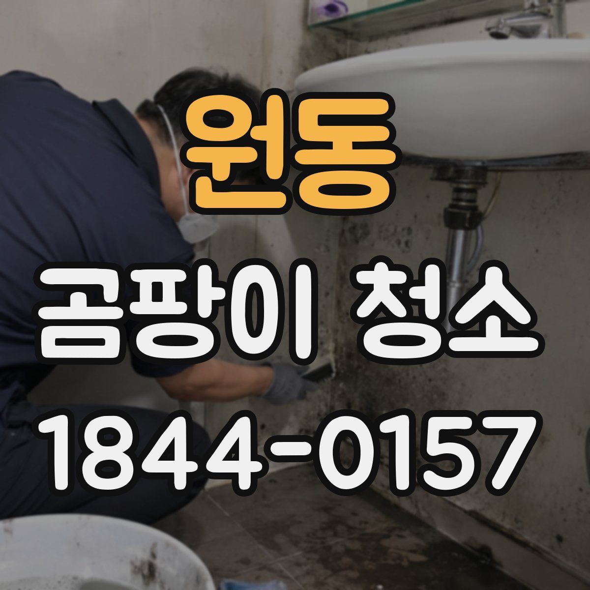 원동 곰팡이 청소
