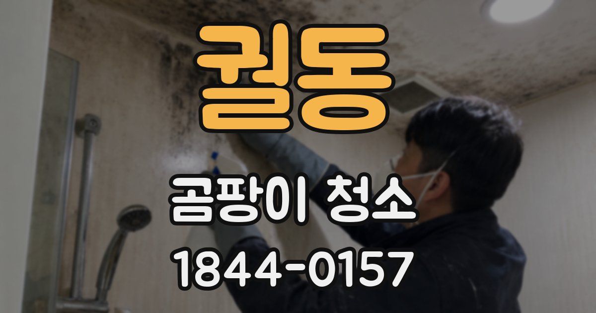 궐동 곰팡이 청소