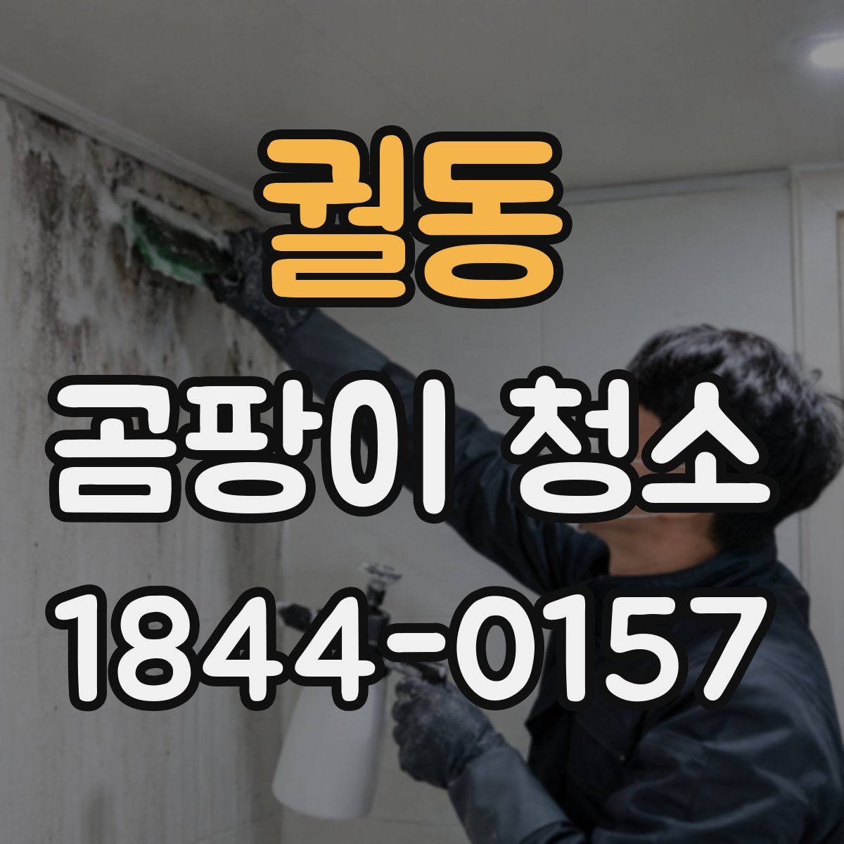 궐동 곰팡이 청소