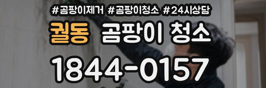 궐동 곰팡이 청소