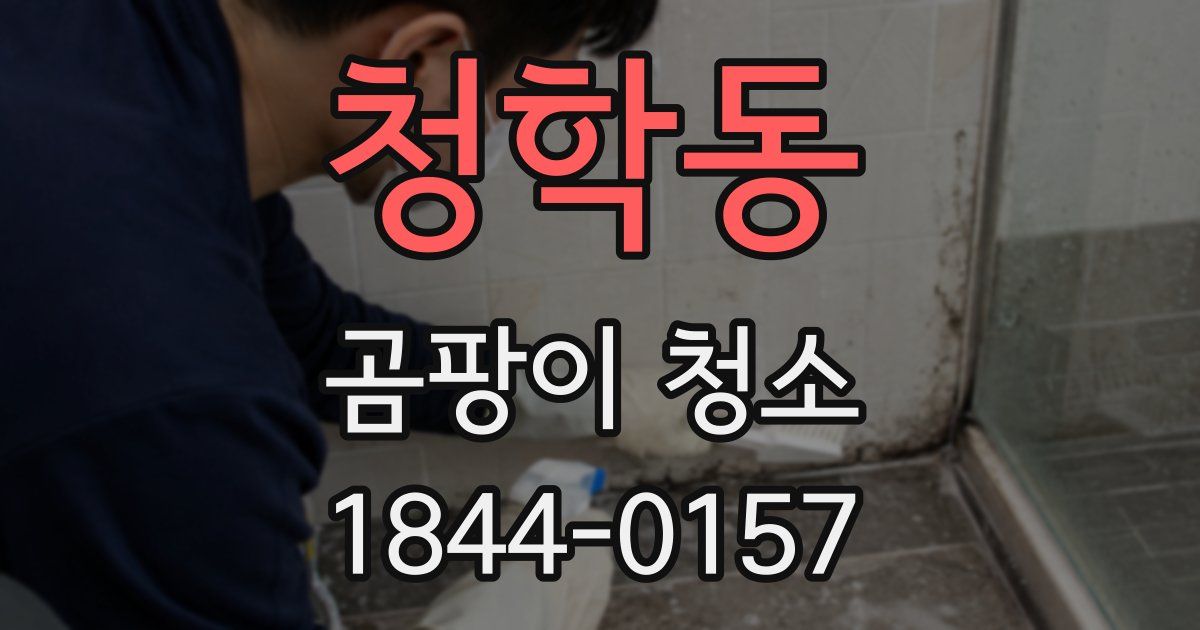 청학동 곰팡이 청소