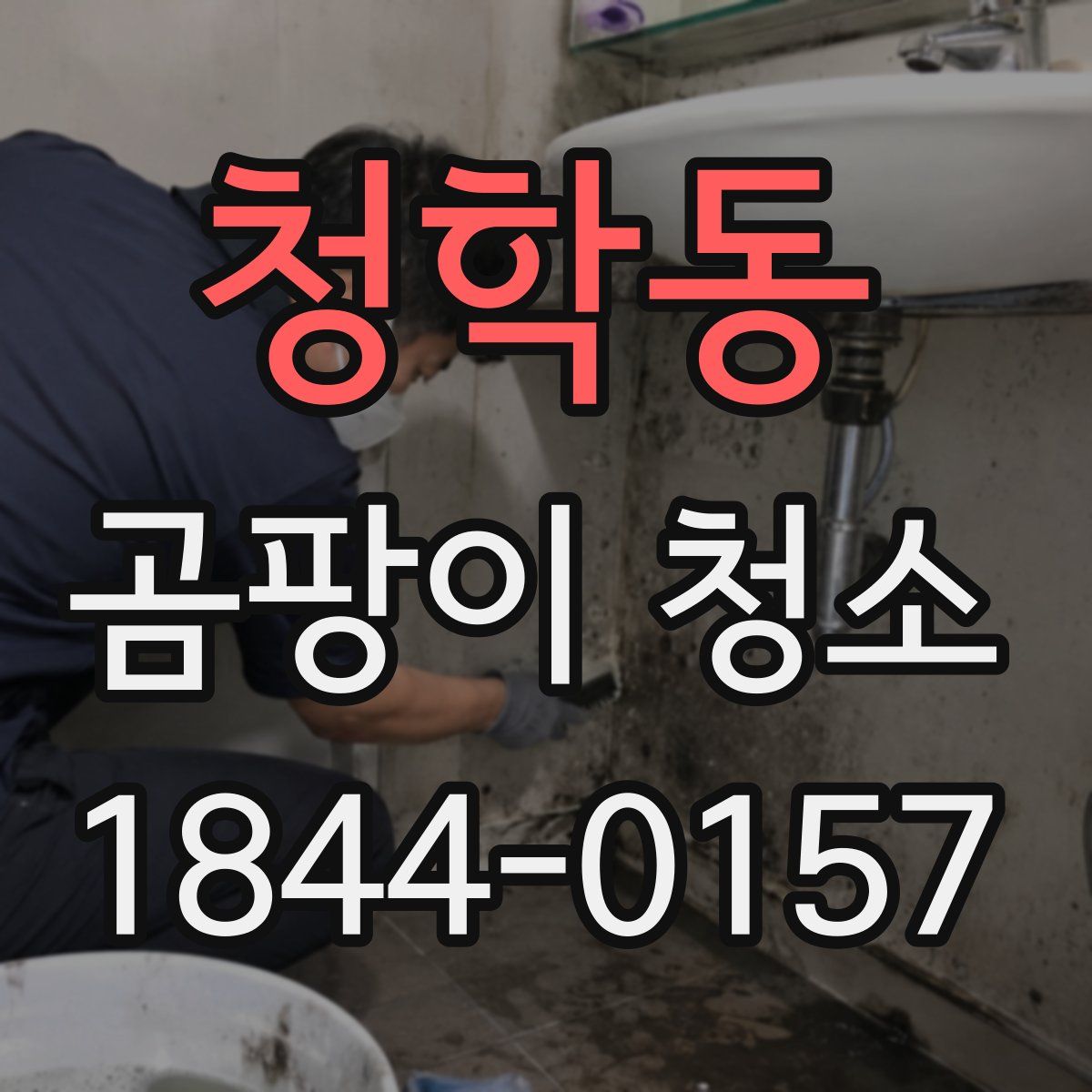 청학동 곰팡이 청소