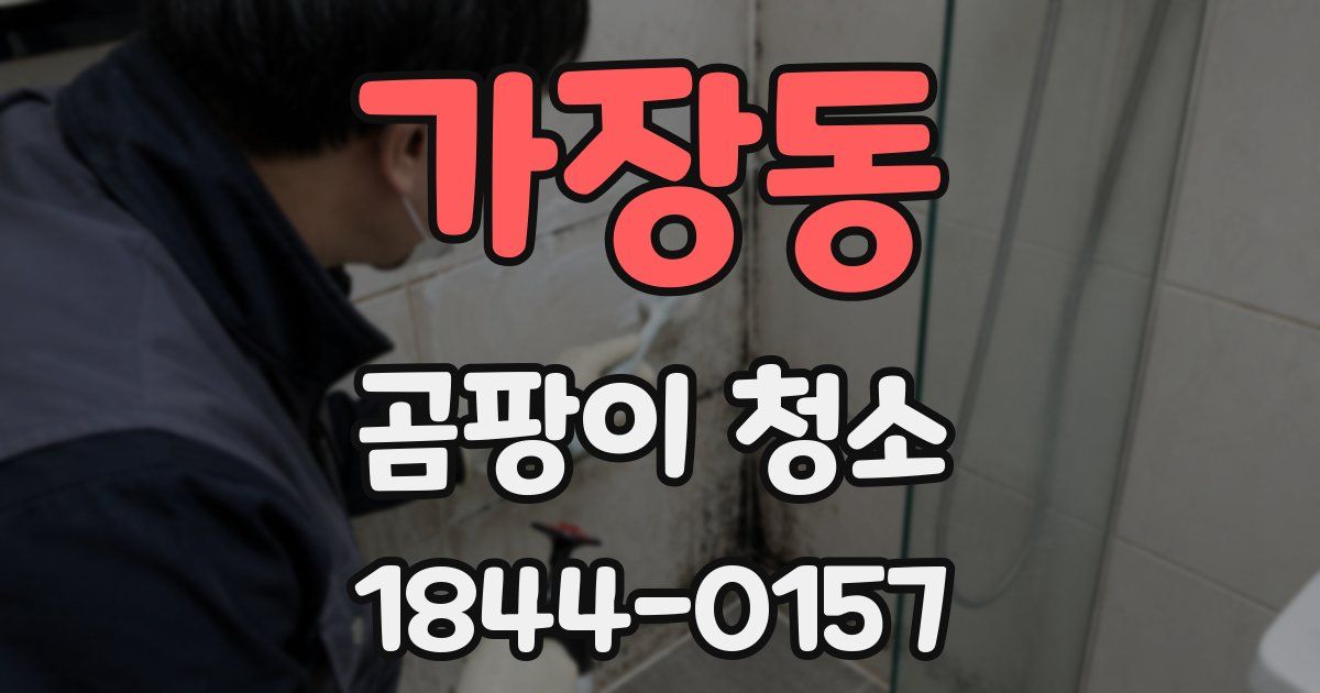 가장동 곰팡이 청소