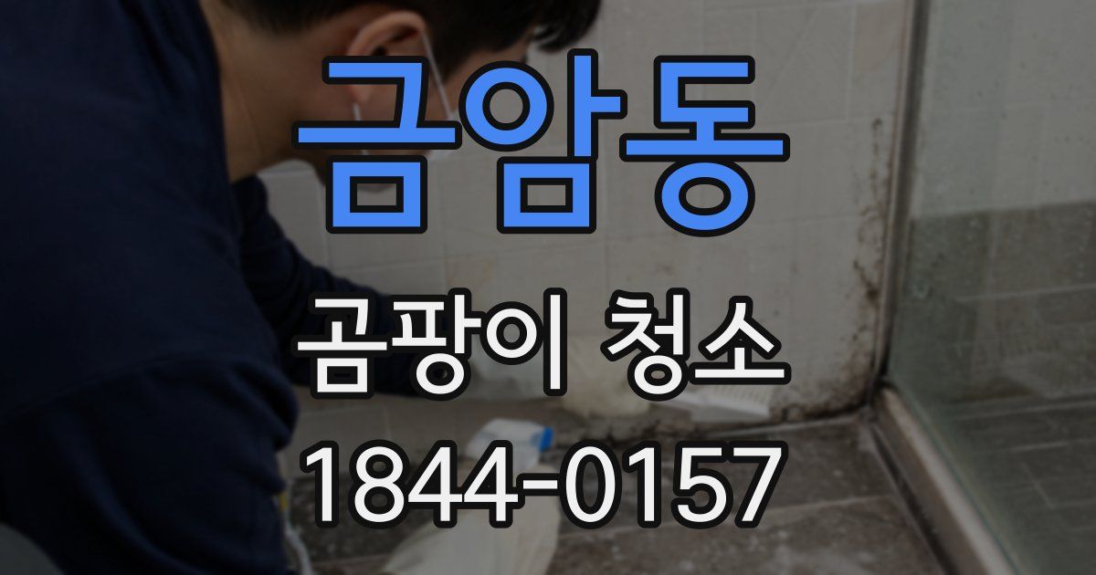 금암동 곰팡이 청소