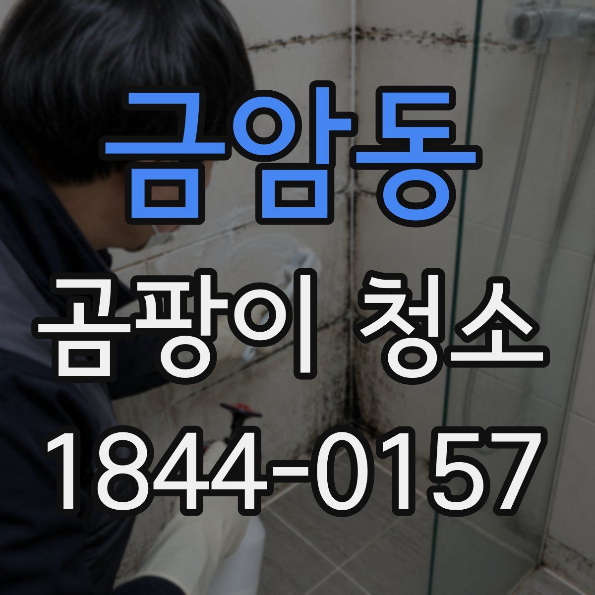 금암동 곰팡이 청소