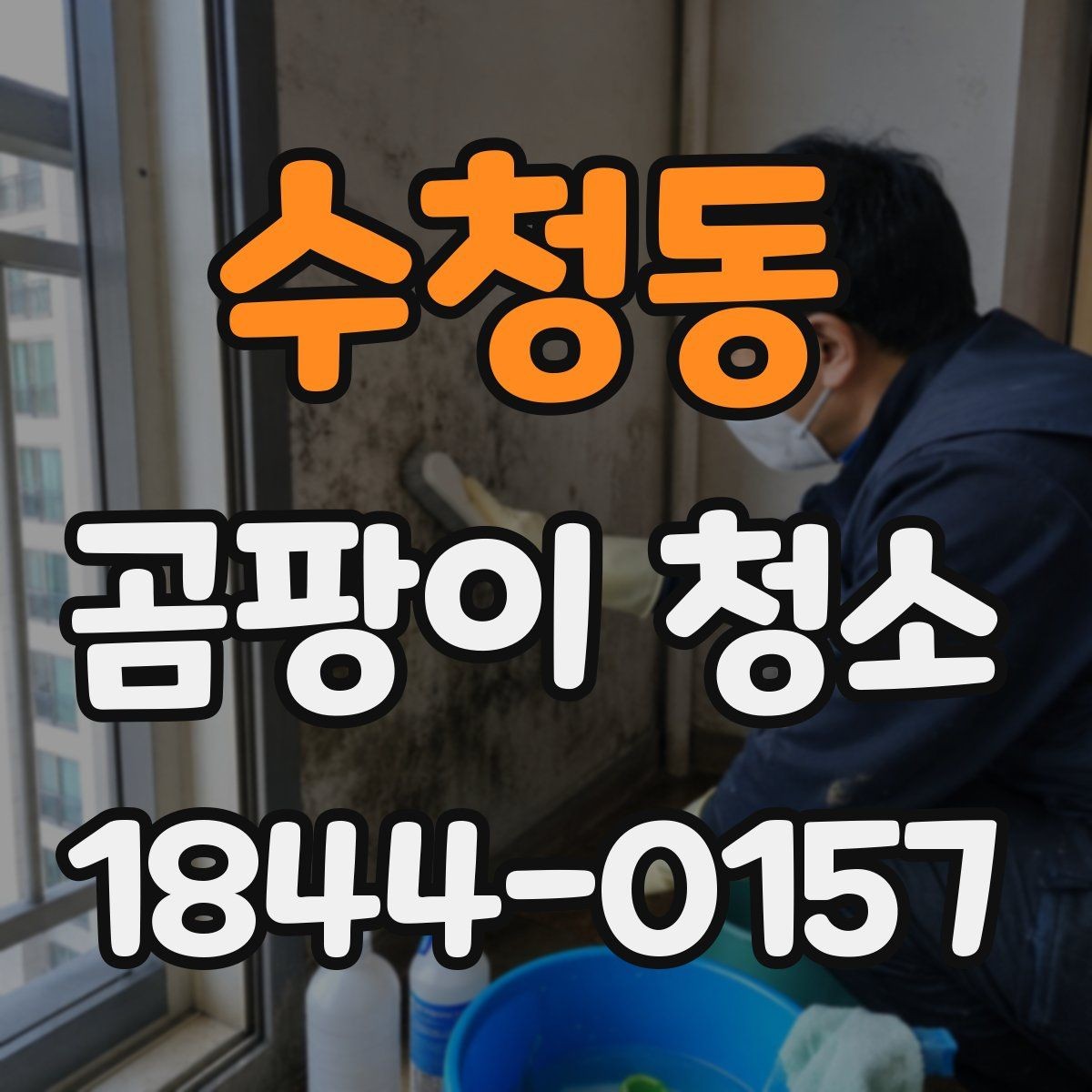 수청동 곰팡이 청소 실내 온습도를 맞춰 재발을 줄이는 습관