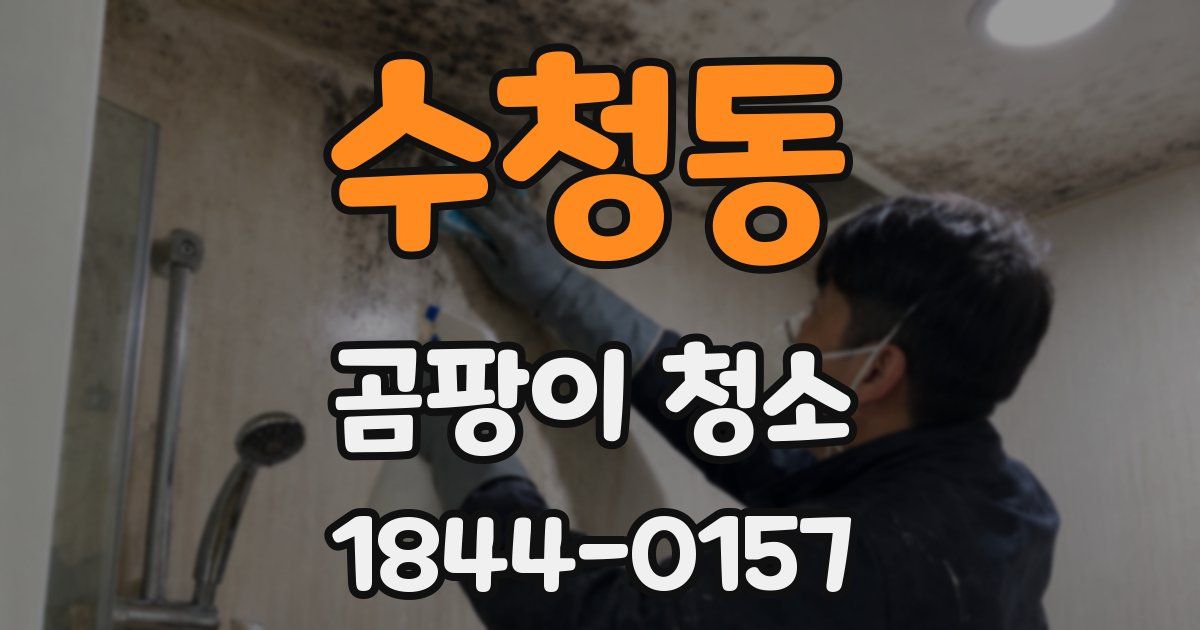 수청동 곰팡이 청소