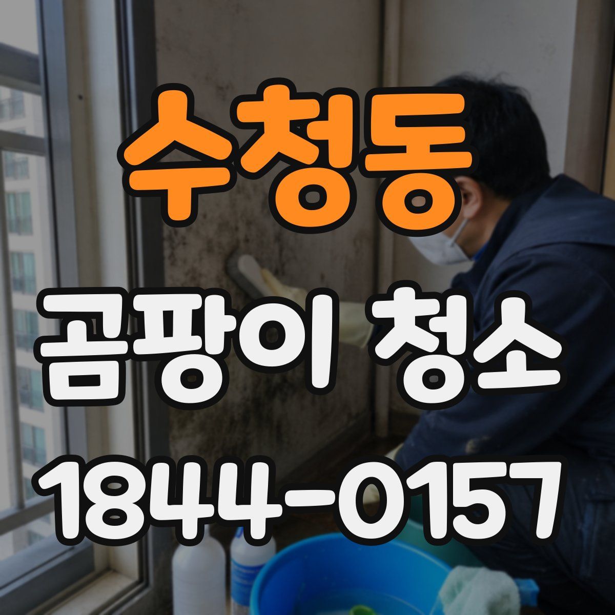 수청동 곰팡이 청소