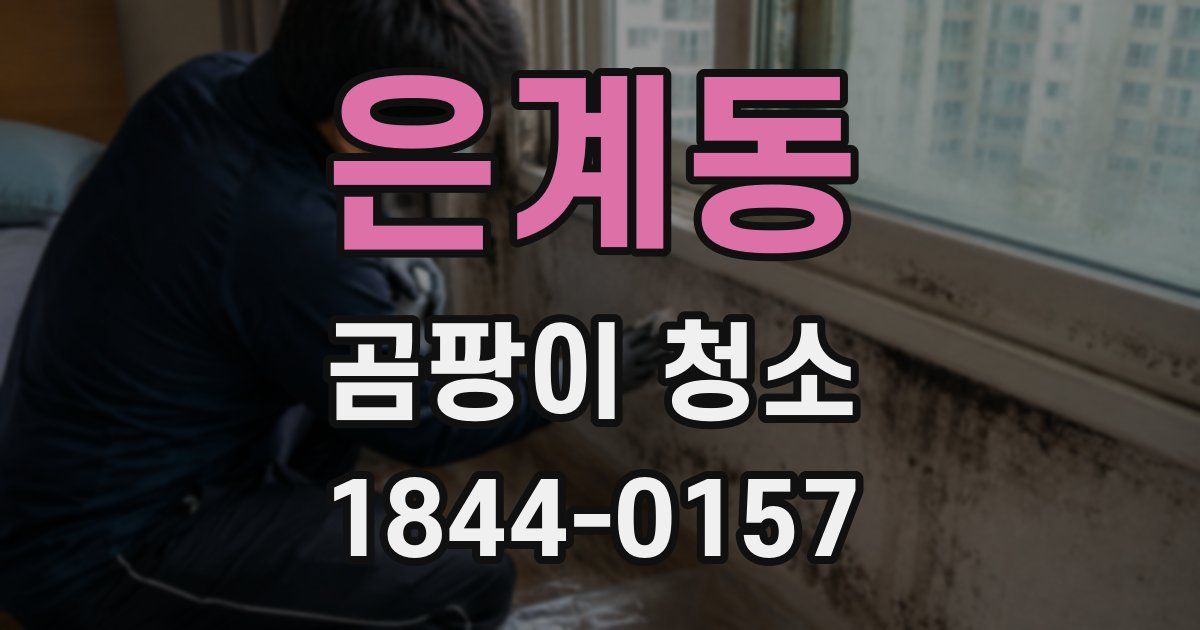 은계동 곰팡이 청소
