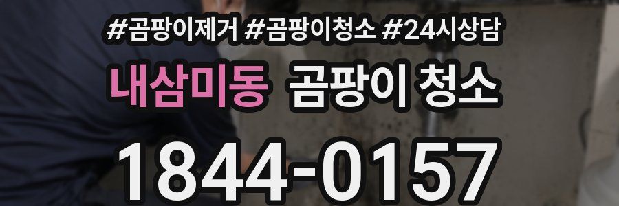 내삼미동 곰팡이 청소