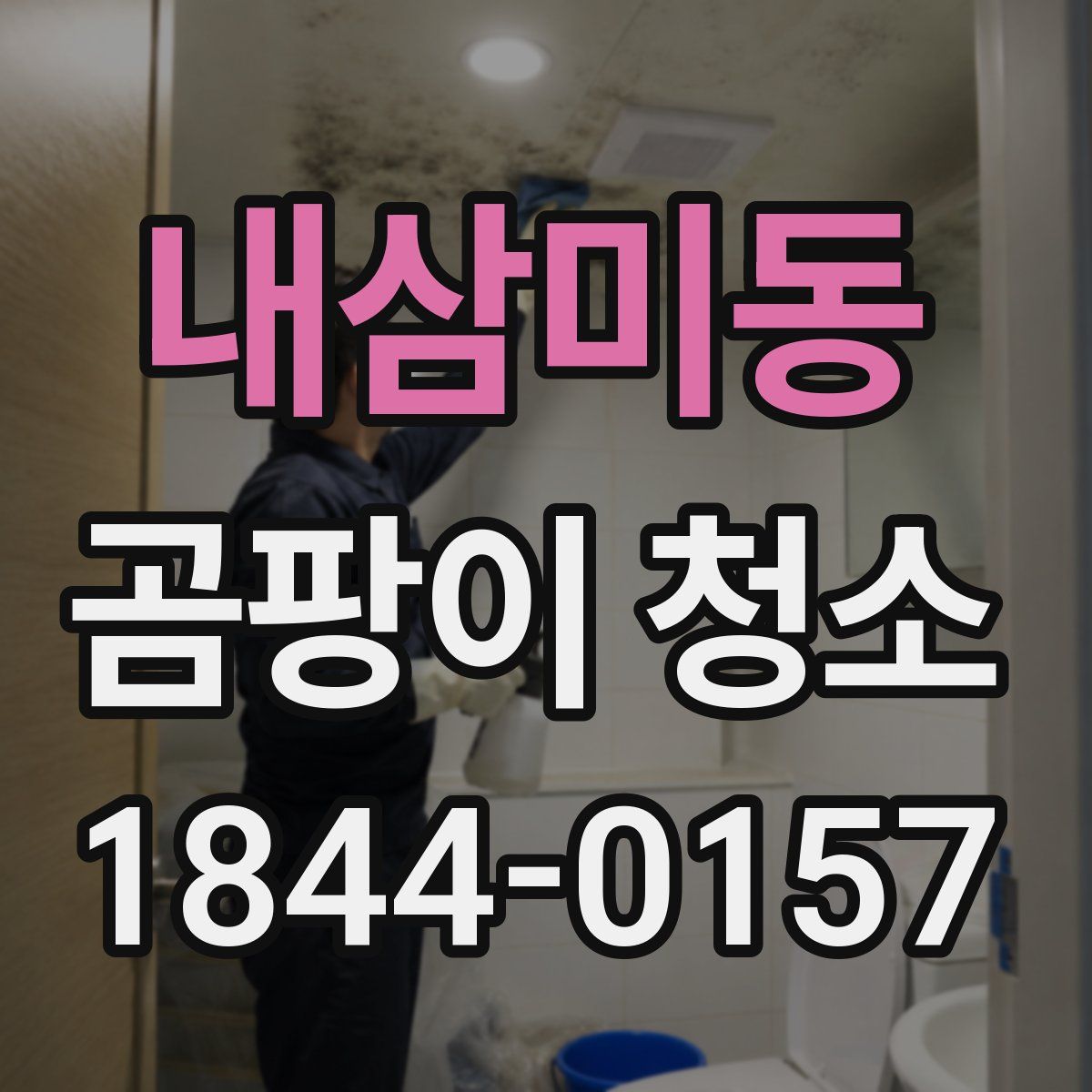 내삼미동 곰팡이 청소