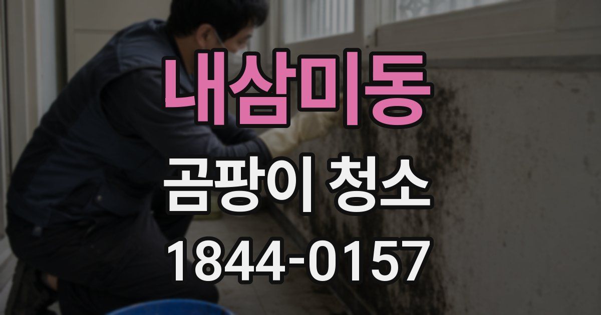 내삼미동 곰팡이 청소