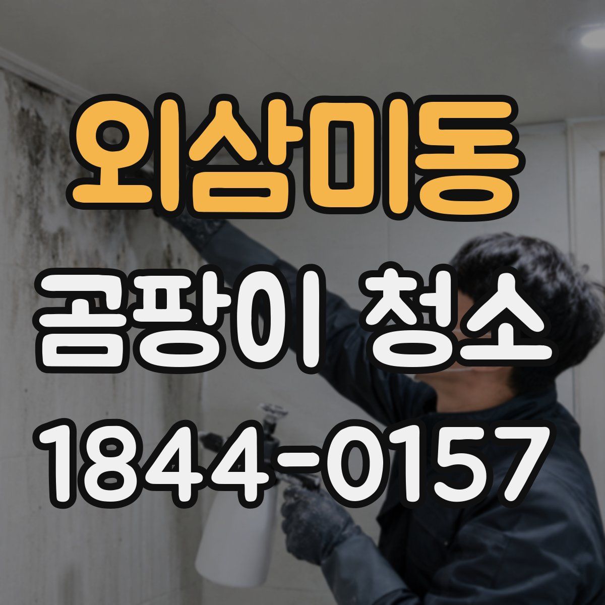외삼미동 곰팡이 청소