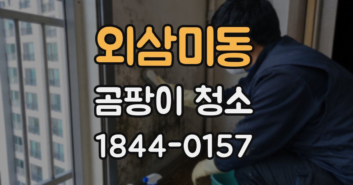외삼미동 곰팡이 청소
