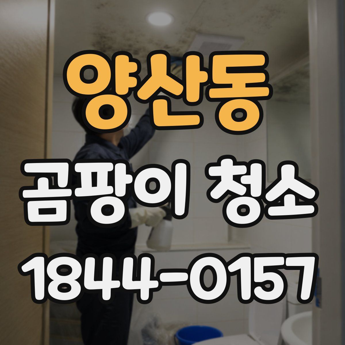 양산동 곰팡이 청소