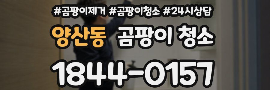 양산동 곰팡이 청소