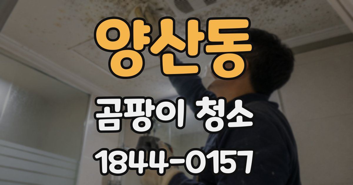 양산동 곰팡이 청소