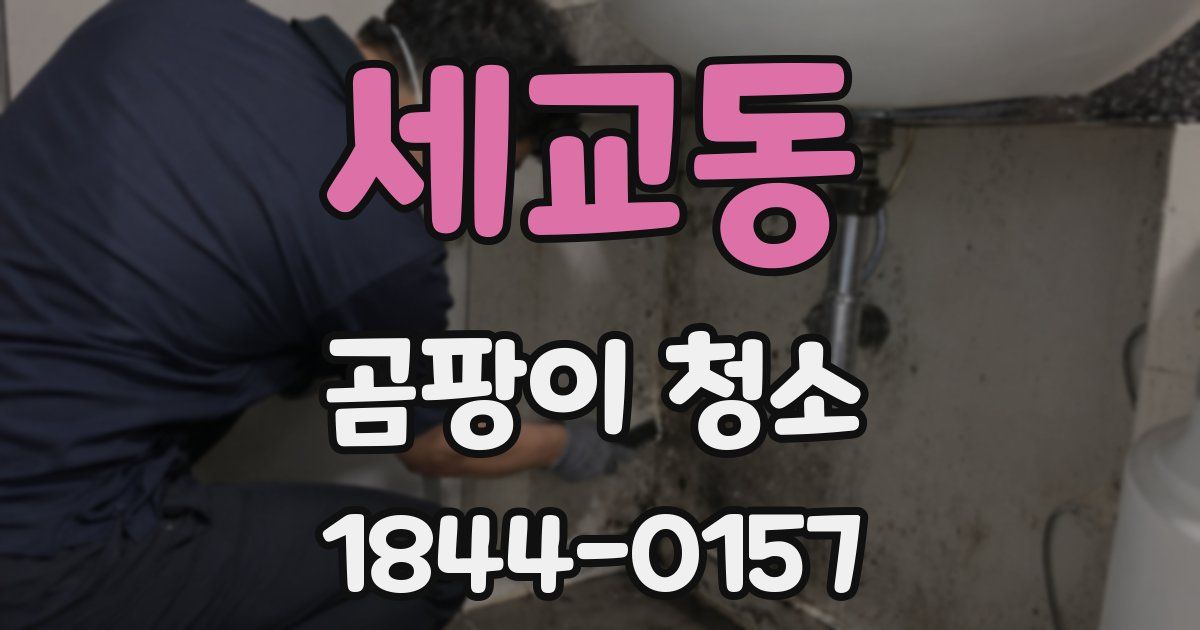 세교동 곰팡이 청소