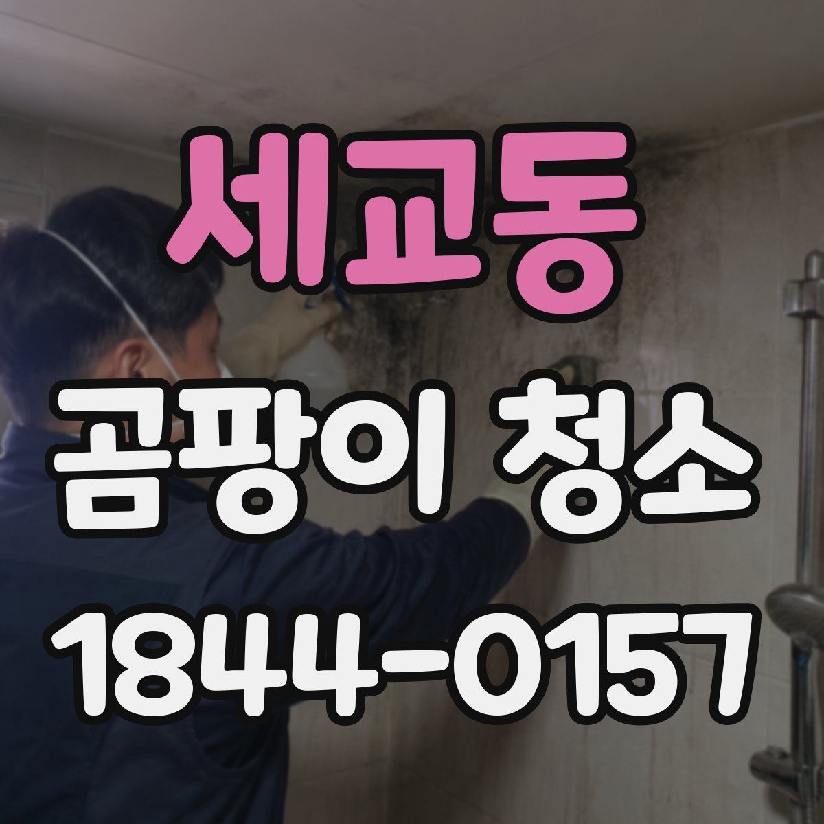 세교동 곰팡이 청소