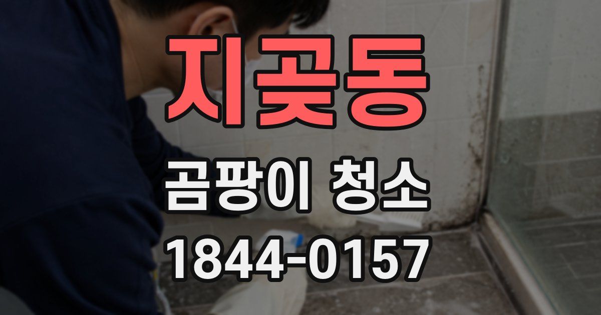 지곶동 곰팡이 청소