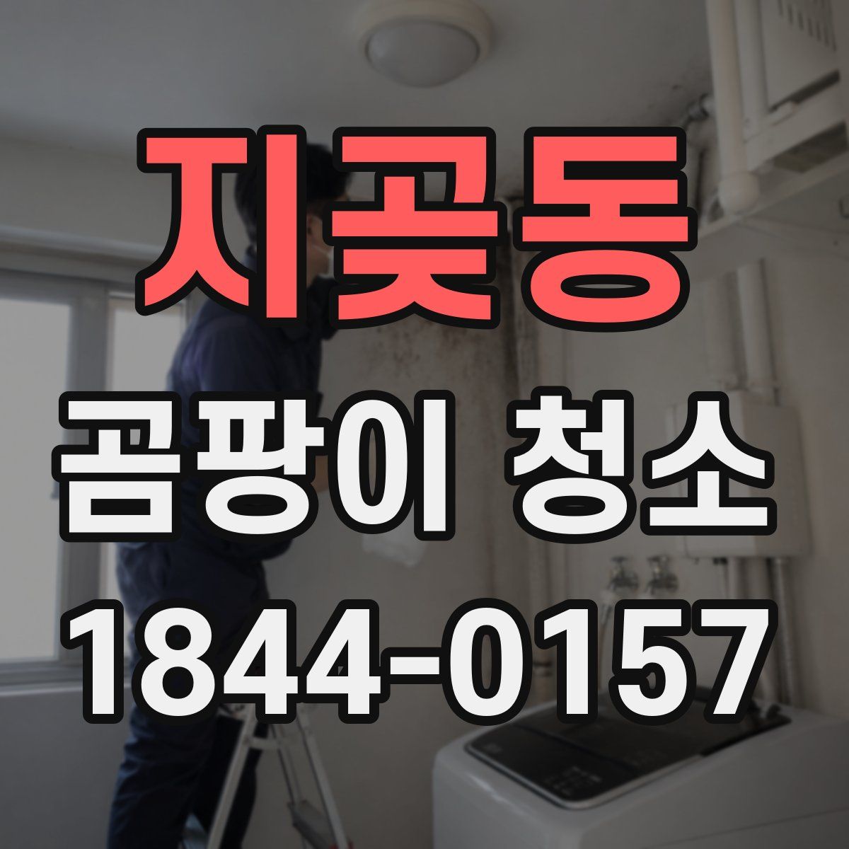 지곶동 곰팡이 청소