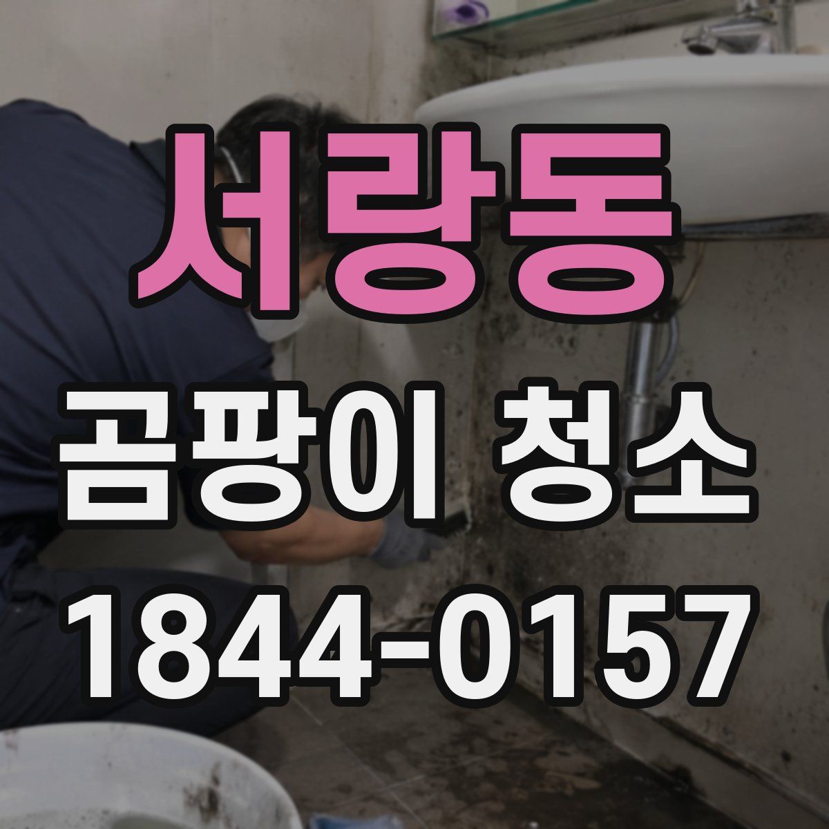 서랑동 곰팡이 청소