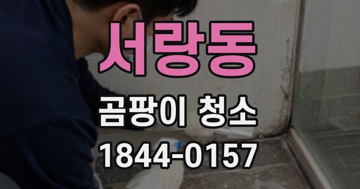 서랑동 곰팡이 청소