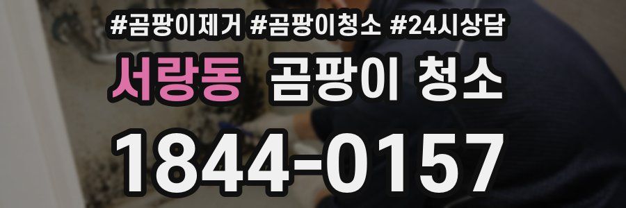 서랑동 곰팡이 청소