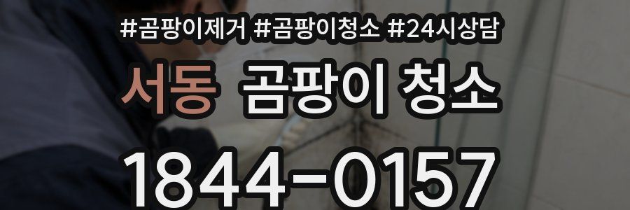 서동 곰팡이 청소