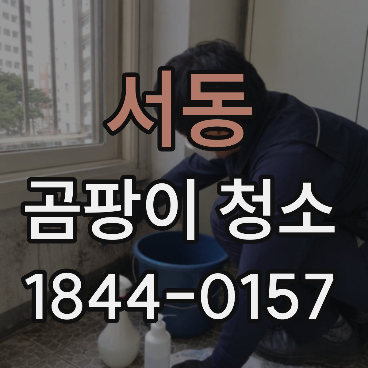 서동 곰팡이 청소