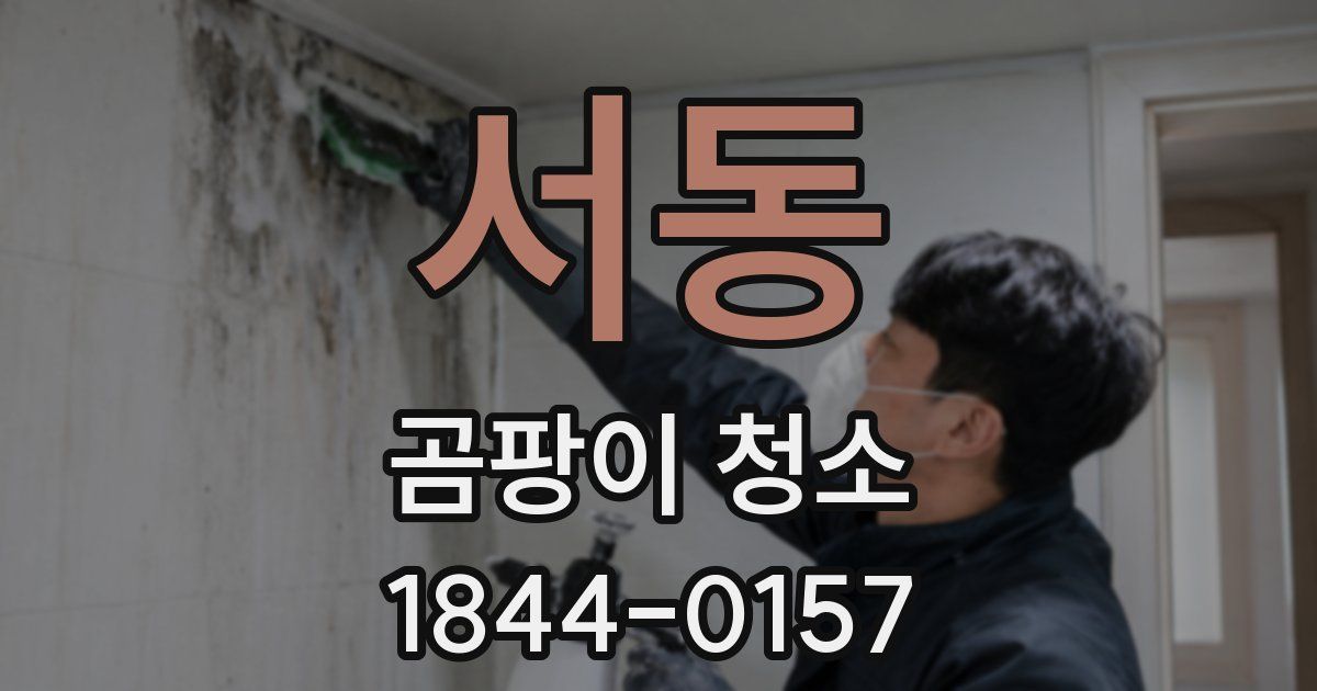 서동 곰팡이 청소