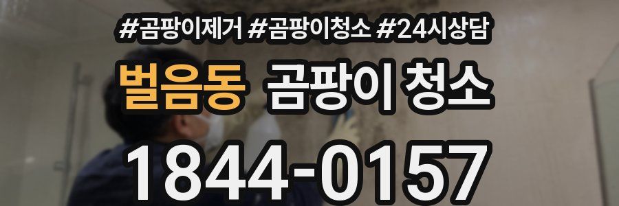 벌음동 곰팡이 청소