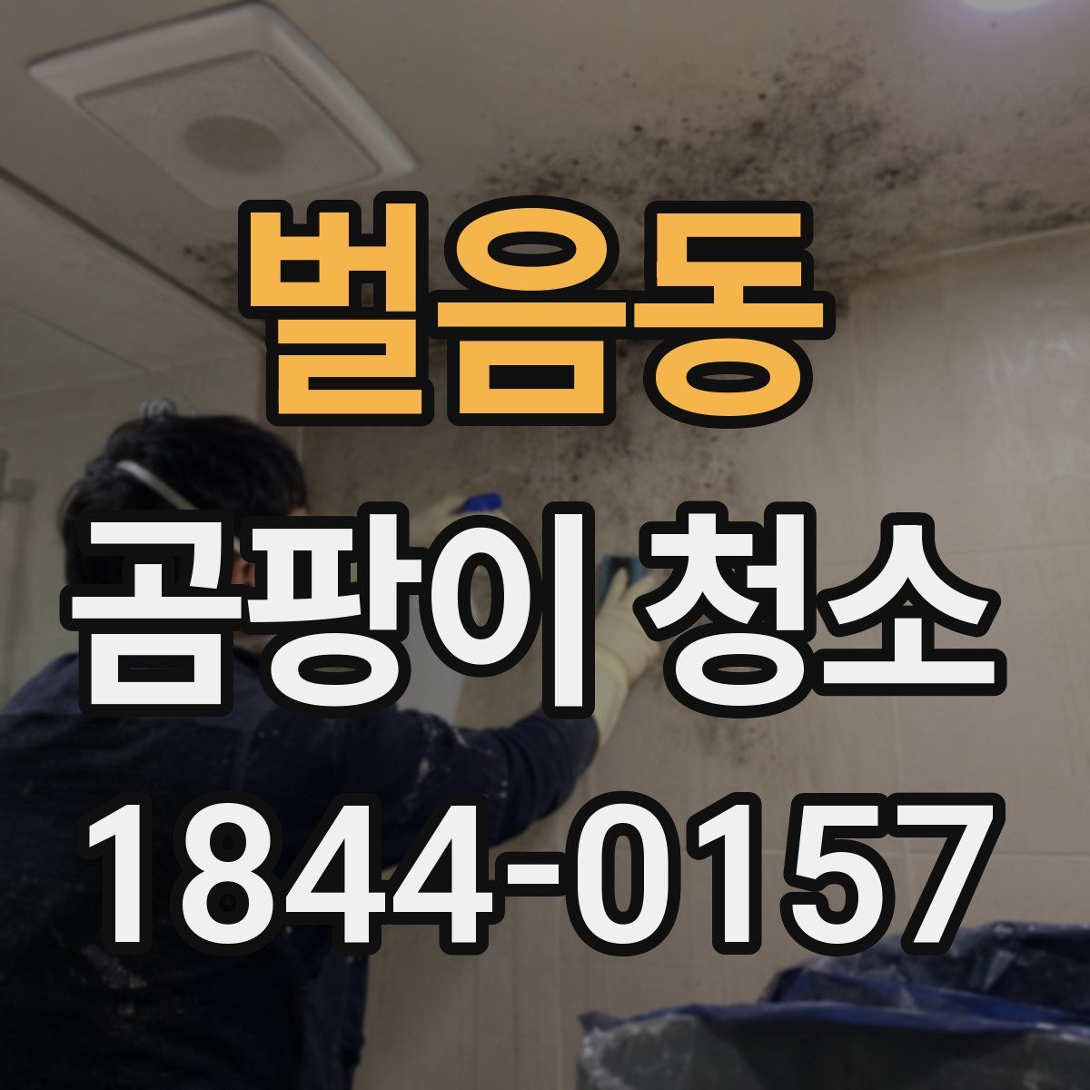 벌음동 곰팡이 청소