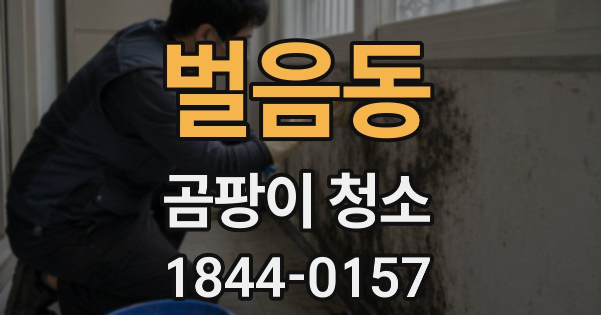 벌음동 곰팡이 청소