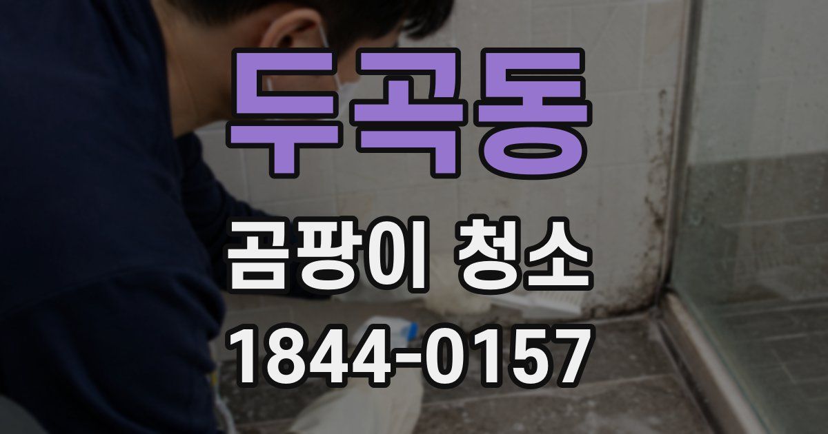 두곡동 곰팡이 청소