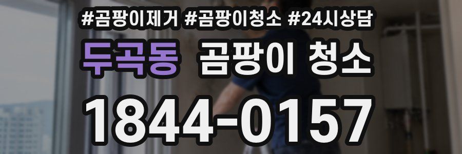 두곡동 곰팡이 청소
