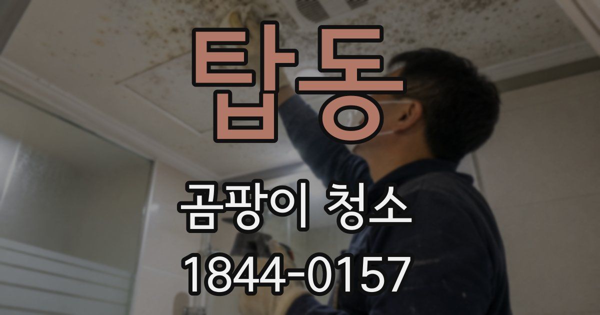 탑동 곰팡이 청소