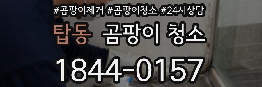 탑동 곰팡이 청소