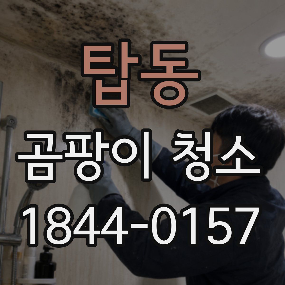 탑동 곰팡이 청소