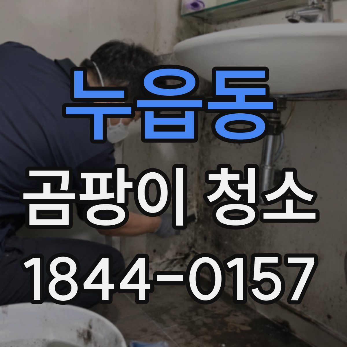 누읍동 곰팡이 청소